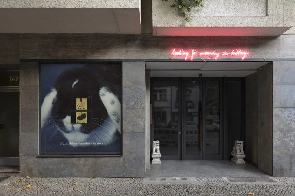 Installationsansicht: Schaufenster einer Galerie mit dem Bild des Kaninchens Josephine und roter Neonschrift über dem Eingang