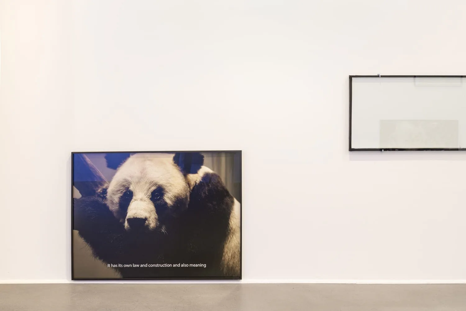 Installationsansicht: große Panda-Fotografie an einer weißen Wand neben einem leeren Rahmen