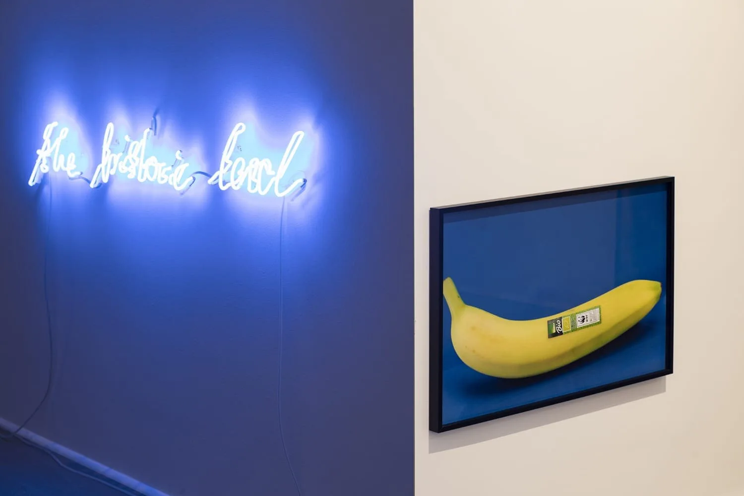 the historic level, Installationsansicht: weiße Neonschrift „the historic level“ auf blau beleuchteter Wand neben einem Bananenbild