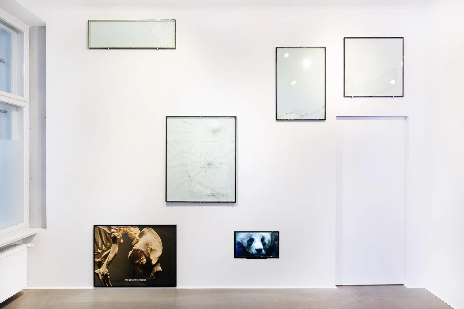 Installationsansicht: weißer Raum mit leeren Rahmen und zwei Panda-Fotografien neben einem Fenster