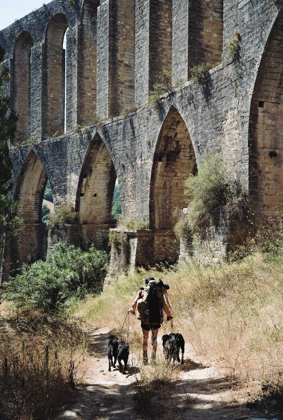 GABRIEL: Wanderer mit Hunden unter den Bögen eines alten Aquädukts