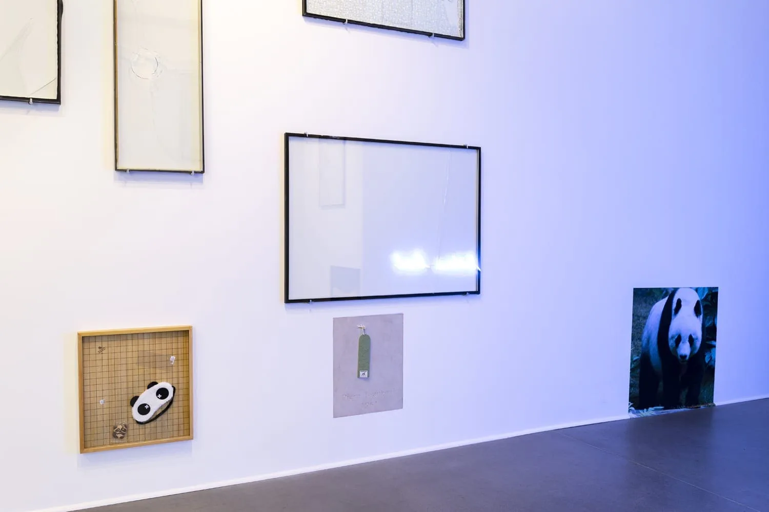 Installationsansicht: leere Rahmen und kleine Bilder, darunter ein Panda-Motiv, an einer blau beleuchteten Wand