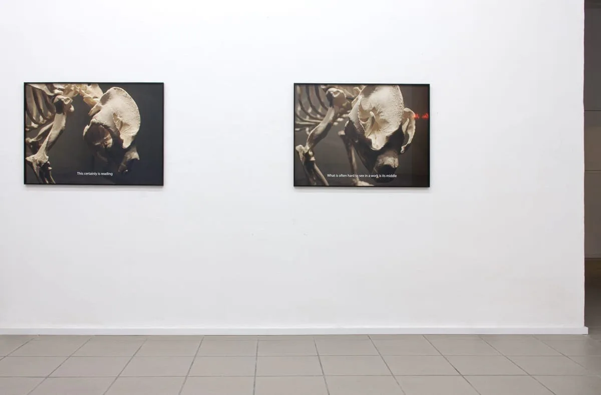 Everything about the contemporary is panda (Bethan Huws), Installationsansicht: zwei Panda-Fotografien nebeneinander an einer weißen Wand