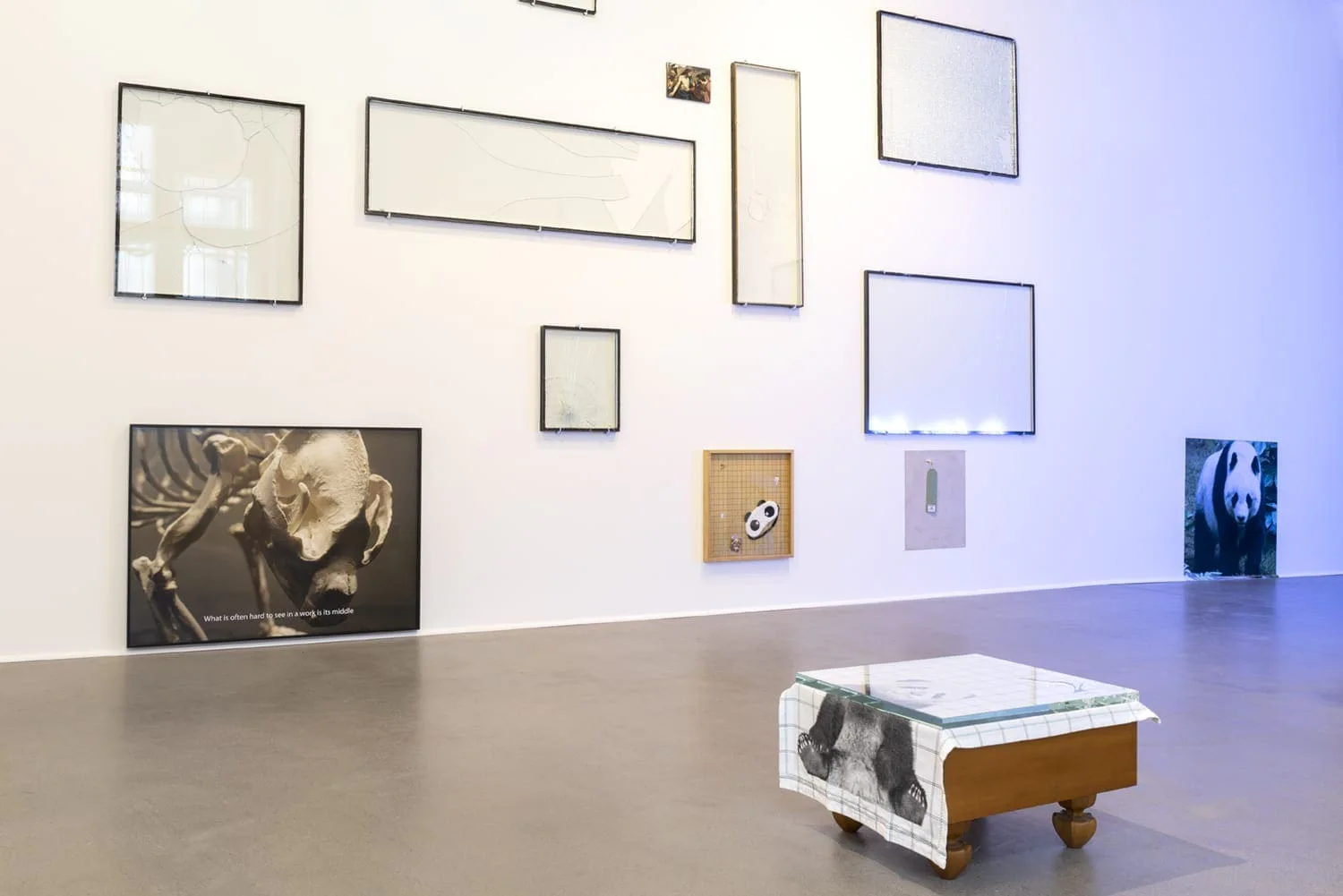 Shred of Turin, Installationsansicht: Wand mit leeren Rahmen und Panda-Bildern, davor ein Objekt auf Rollen
