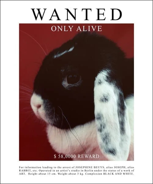Michal Martychowiec, Josephine 2018 (Red): Plakat „Wanted – Only Alive“ mit dem Kaninchen Josephine auf rotem Grund und 58.000 Dollar Belohnung