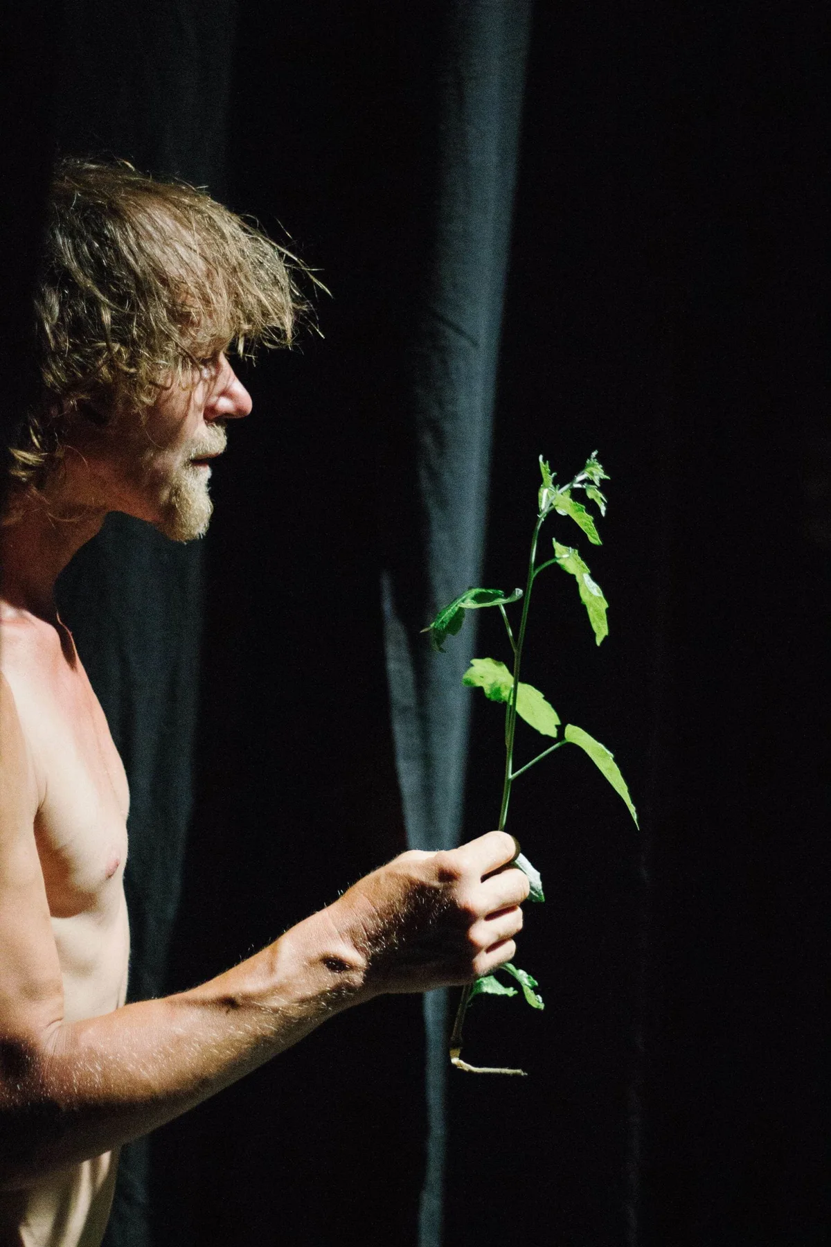 GABRIEL, Bühnenperformance: Performer mit nacktem Oberkörper hält einen grünen Zweig vor schwarzem Vorhang