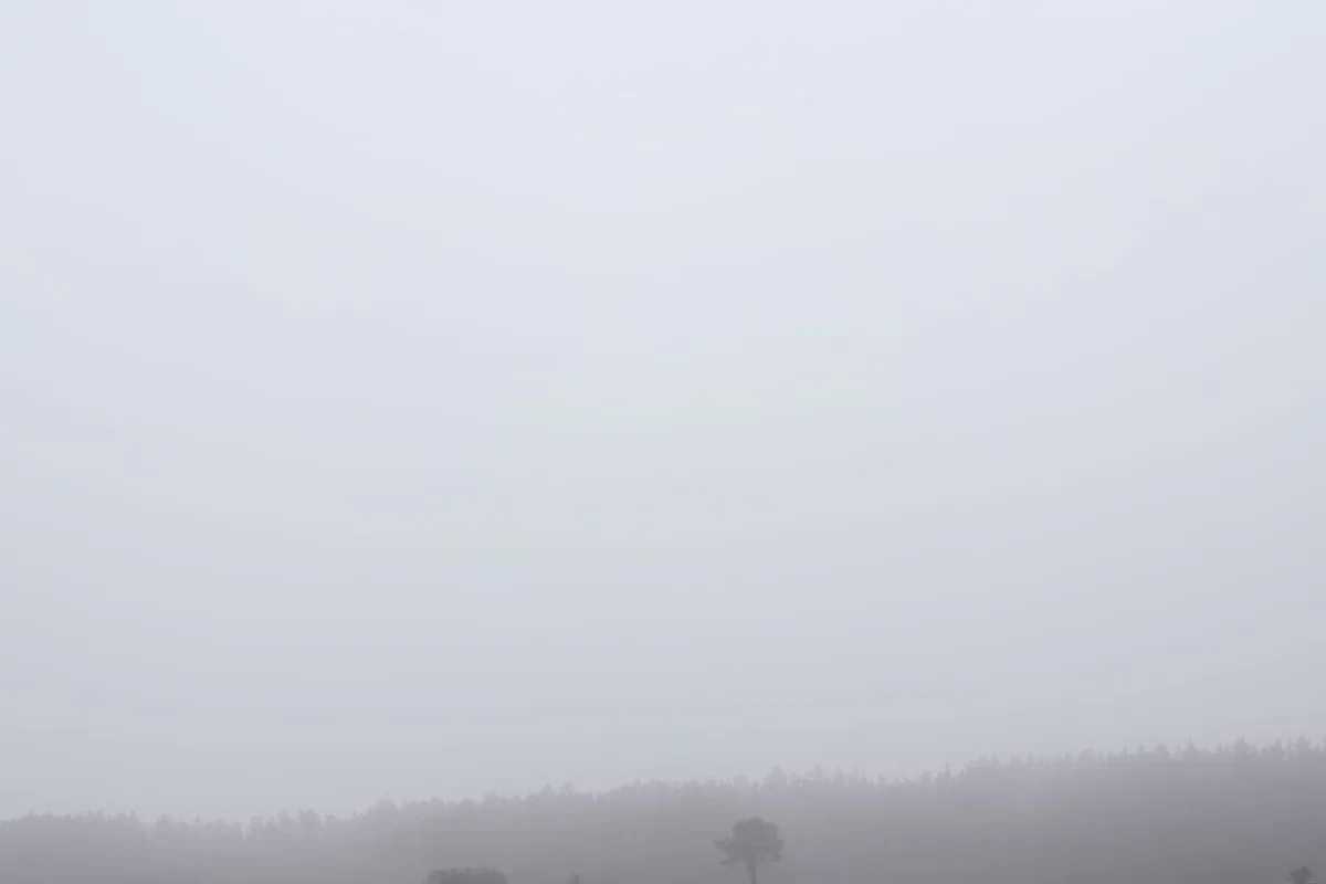 Michal Martychowiec, Magic Mountain 2: hellgrauer Nebel über einer flachen Landschaft mit einem Baum am Horizont