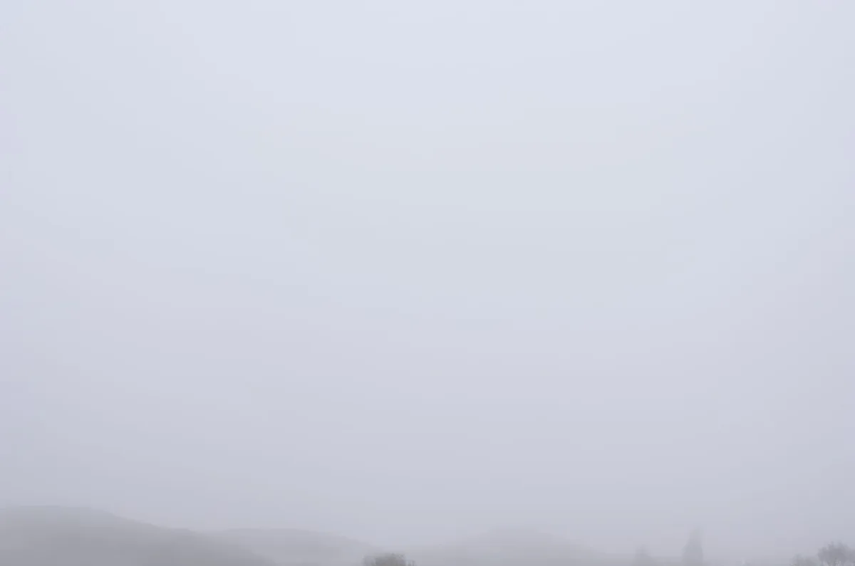 Michal Martychowiec, Magic Mountain 3: Nebel über einer flachen Landschaft, am Horizont eine ferne Baumreihe