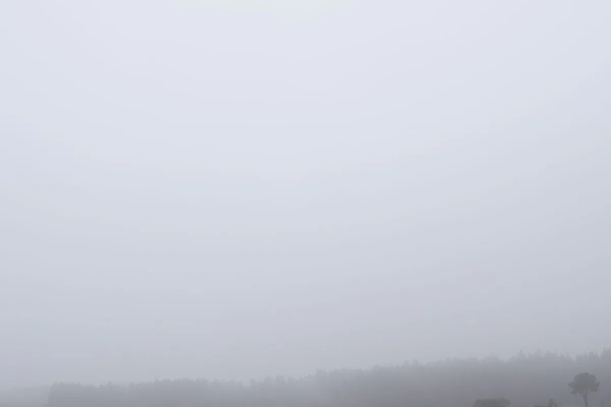 Michal Martychowiec, Magic Mountain 5: fast weißer Nebel, am unteren Rand eine dunkle Waldlinie