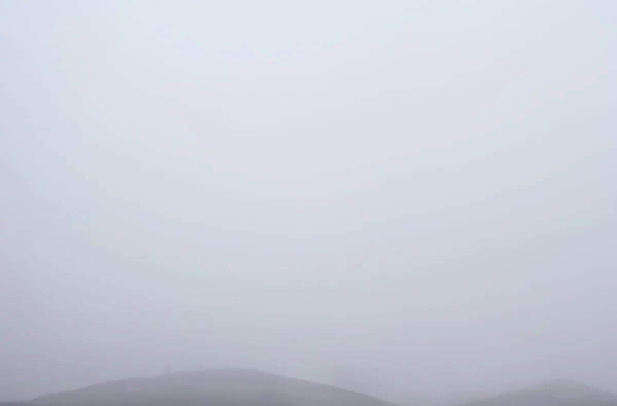 Michal Martychowiec, Magic Mountain 6: Nebel über sanften Hügeln mit einem einzelnen Baum