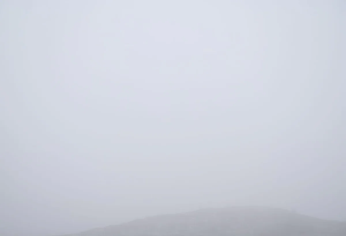 Michal Martychowiec, Magic Mountain 8: Nebel über einem Hügel mit einem kleinen Baum