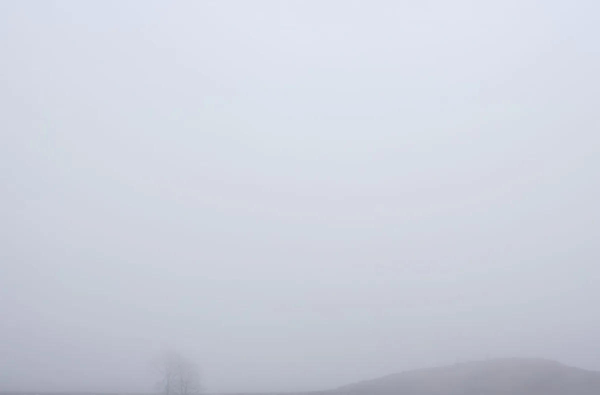 Michal Martychowiec, Magic Mountain 9: Nebellandschaft, in der ein Hügel und ein einzelner Baum verschwimmen