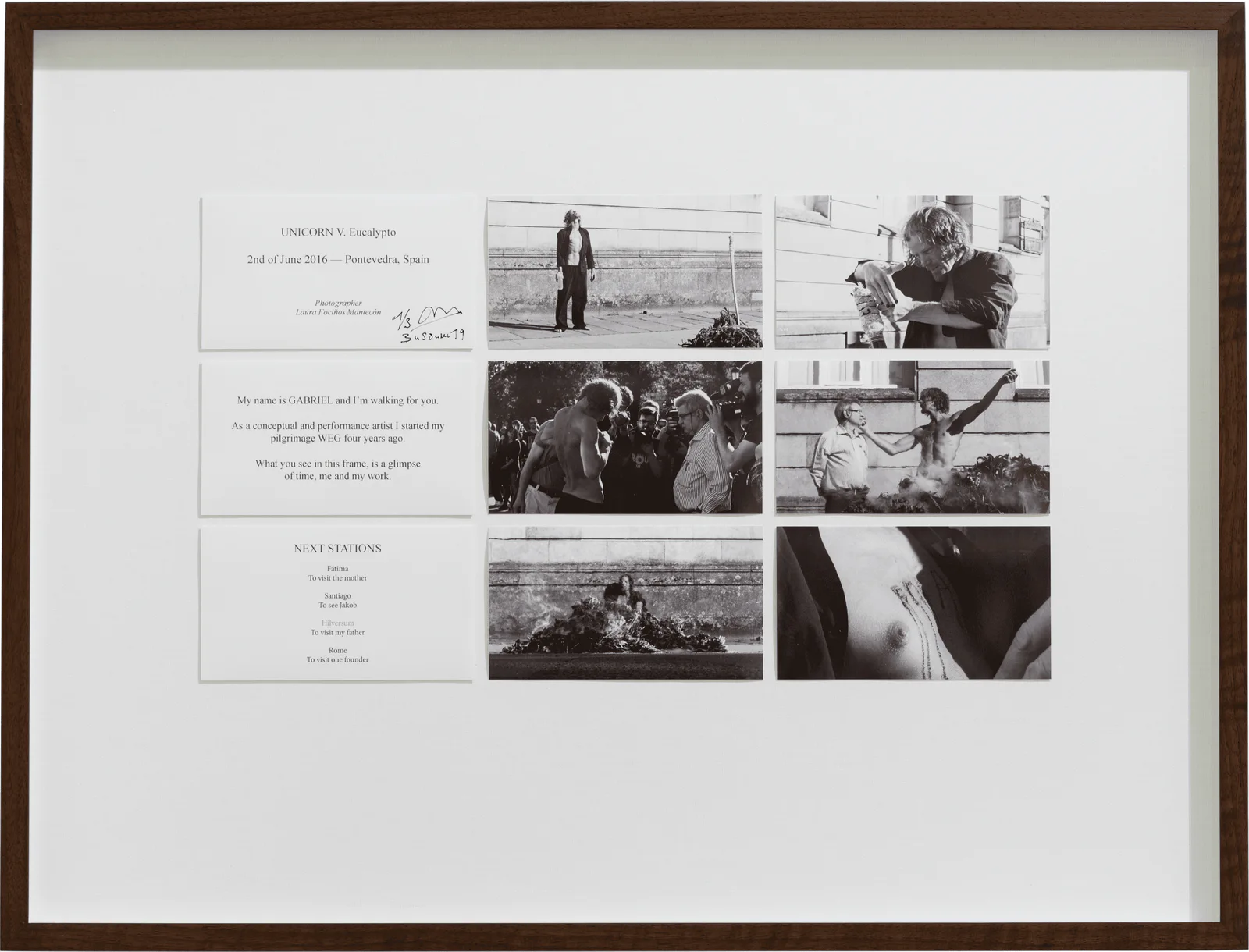 GABRIEL – Unicorn V. Eucalypto, 2016: gerahmte Tafel mit Textkarten und Schwarz-Weiß-Fotografien