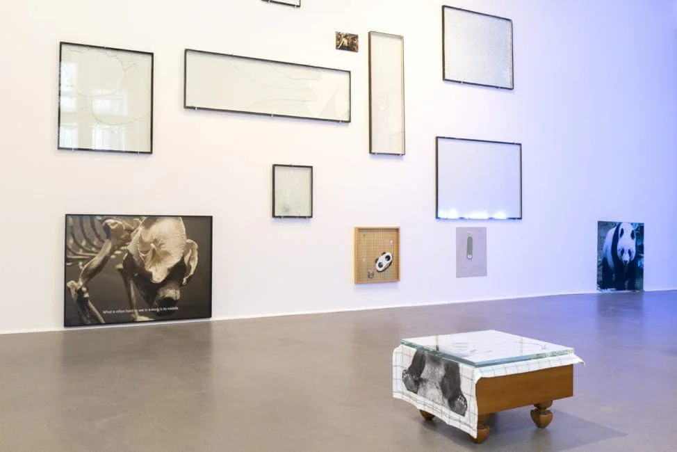 Nachricht vom letzten Menschen, Ausstellungsansicht: Wand mit leeren Rahmen und Fotografien eines Pandas, davor ein Objekt auf Rollen