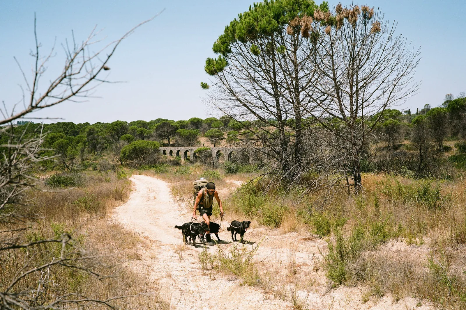 Gabriel, Marianische Antiphonen I: ein Mann mit Hunden auf einem Sandweg in einer trockenen Landschaft mit Pinien und Aquädukt