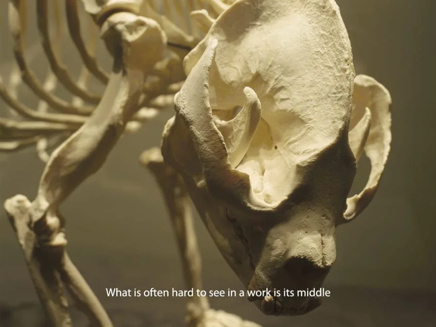 Michal Martychowiec, everything about the contemporary is panda: Skelett eines Pandas mit dem Untertitel „What is often hard to see in a work is its middle“