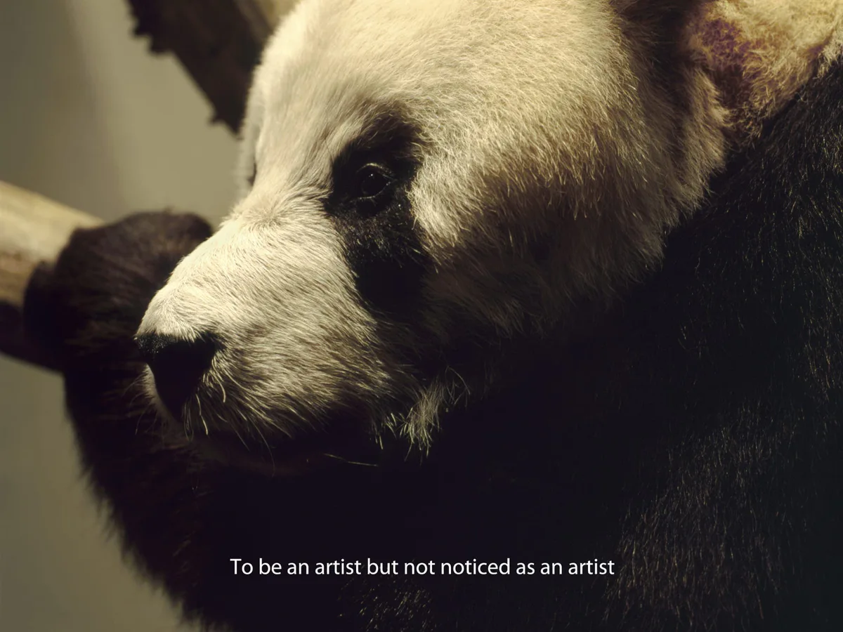 Michal Martychowiec, Everything about the contemporary is panda, 2017: Nahaufnahme eines Pandas auf einem Ast mit dem Text „To be an artist but not noticed as an artist“