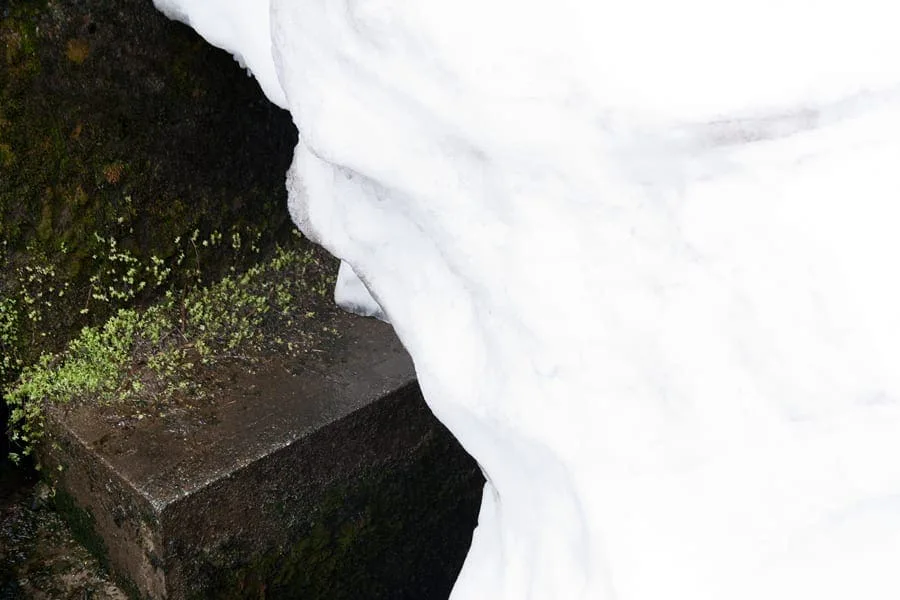 Michal Martychowiec, laocoon group 1: Schneewehe über einer bemoosten Betonkante