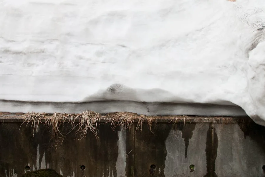 Michal Martychowiec, laocoon group 10: Schneeschicht über einer verwitterten Mauer mit trockenem Gras