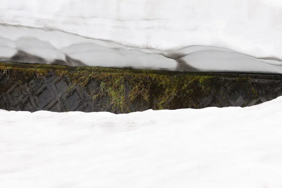 Michal Martychowiec, laocoon group 11: Schnee bedeckt eine Mauer, dazwischen ein schmaler bemooster Streifen