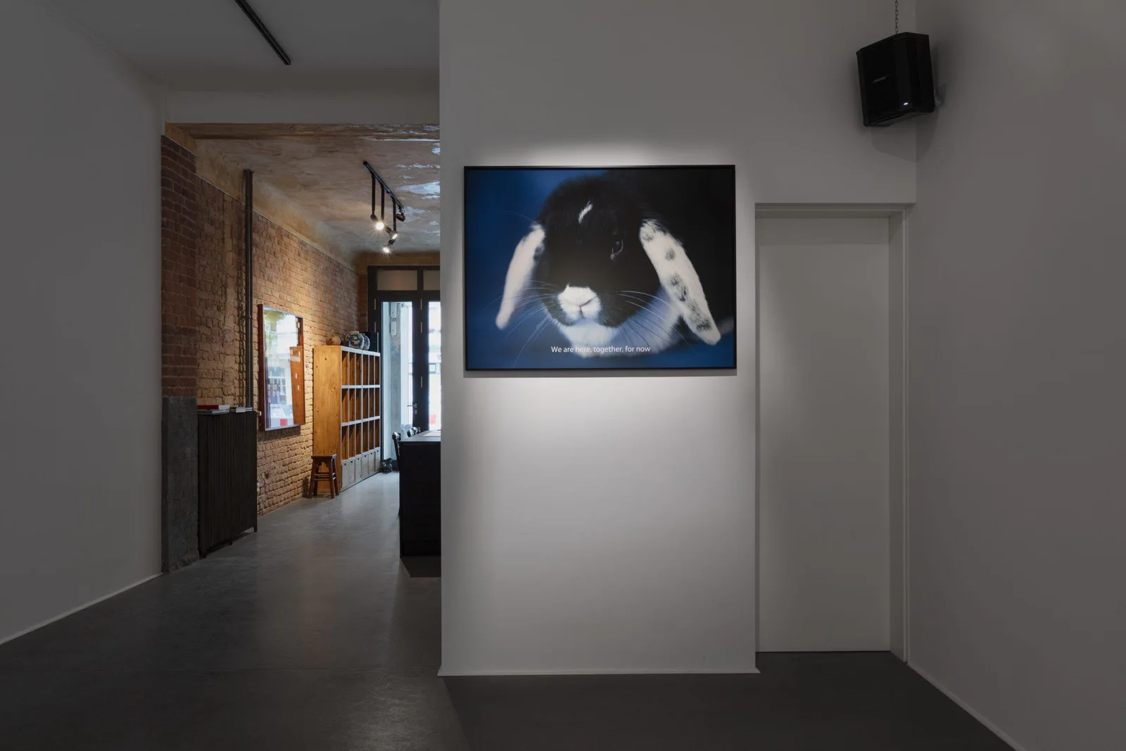 Installationsansicht: Bild des Kaninchens Josephine an einer Wand neben einem Durchgang