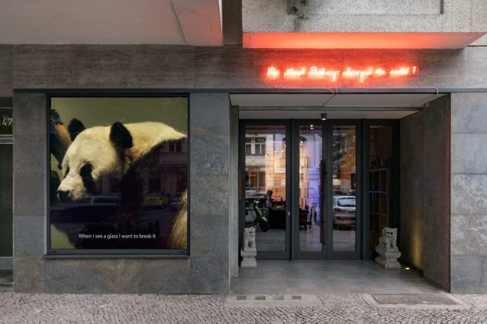 Schaufenster des Thesaurós in Berlin mit einem großen Panda-Bild und roter Leuchtschrift über dem Eingang