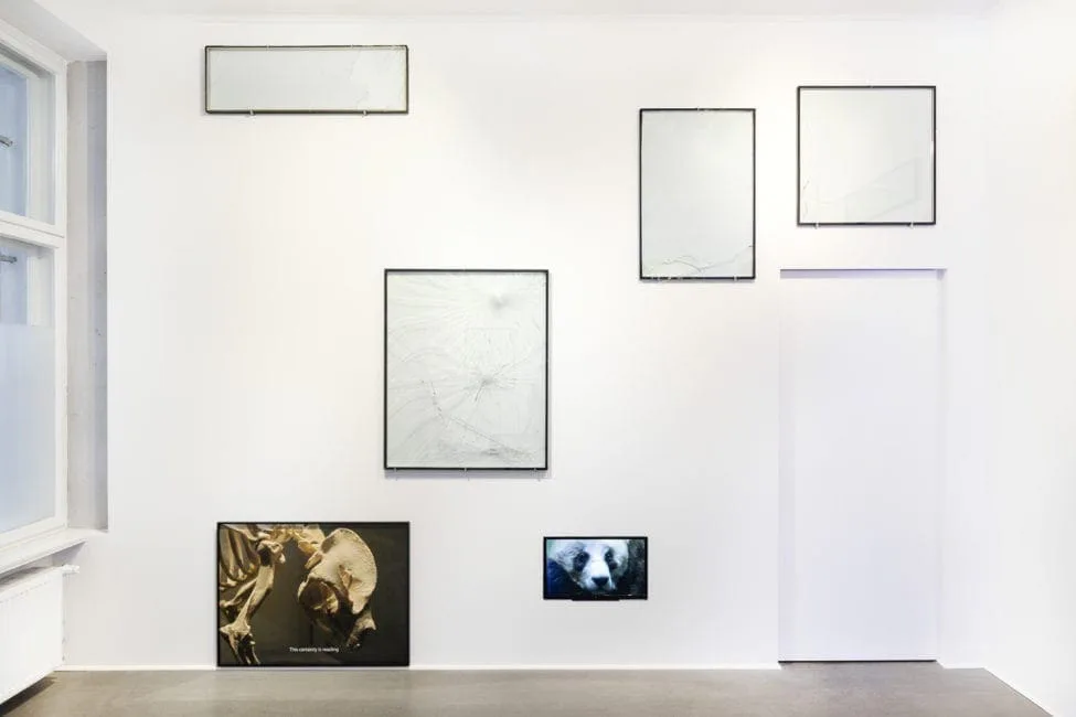 Nachricht vom letzten Menschen, Ausstellungsansicht: weißer Raum mit leeren Rahmen und Fotografien eines Pandas, Foto Stefan Hähnel