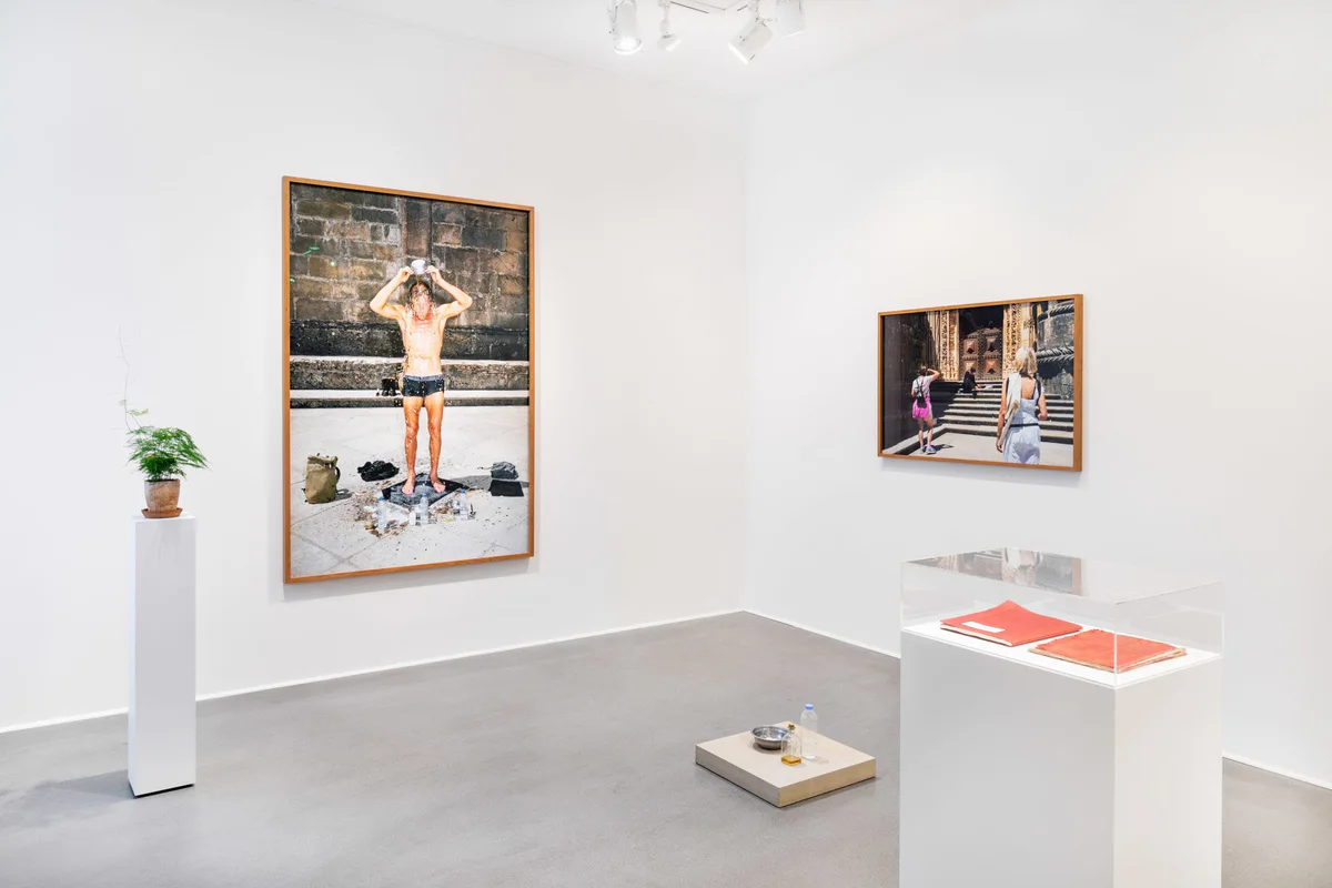 Marianische Antiphonen I, Ausstellungsansicht: zwei große Fotografien, eine Vitrine und ein Sockel mit Pflanze